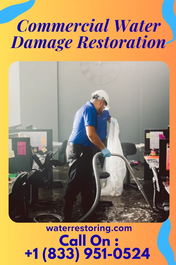 Commercial Water Damage Restoration in Whiting, IN