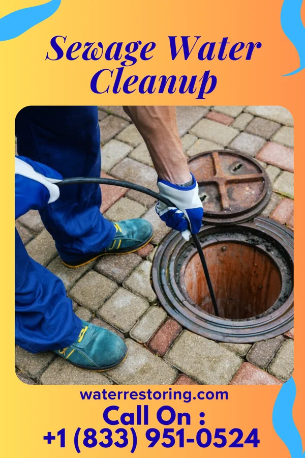 Sewage Water Cleanup in Whiting, IN